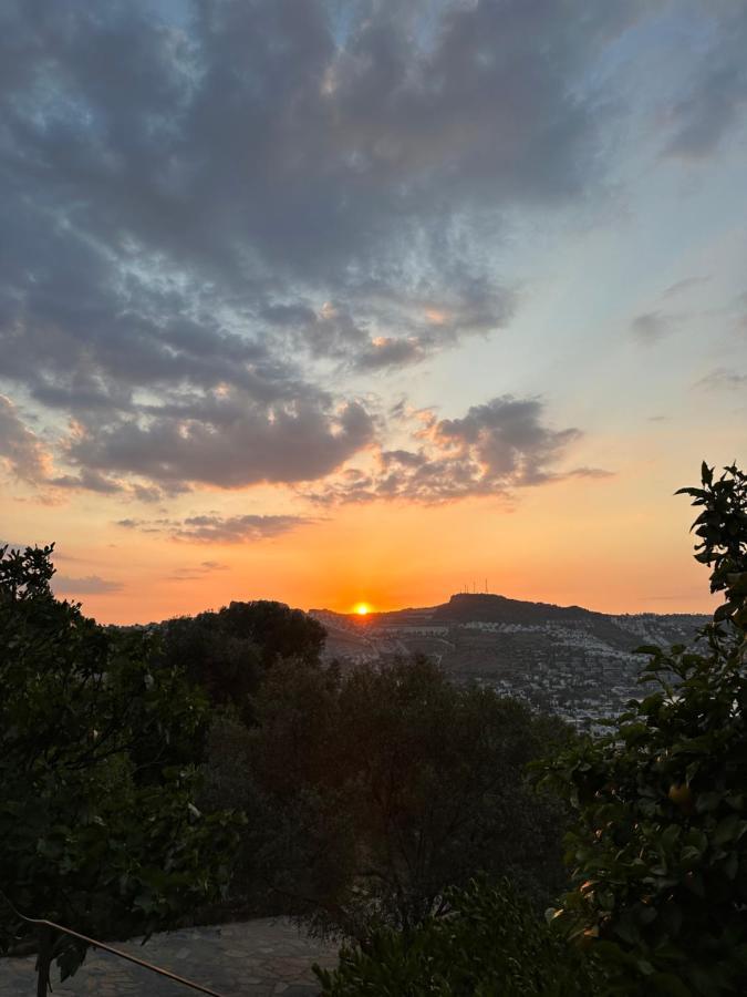 Mandra - Nature Living Bodrum Eksteriør billede